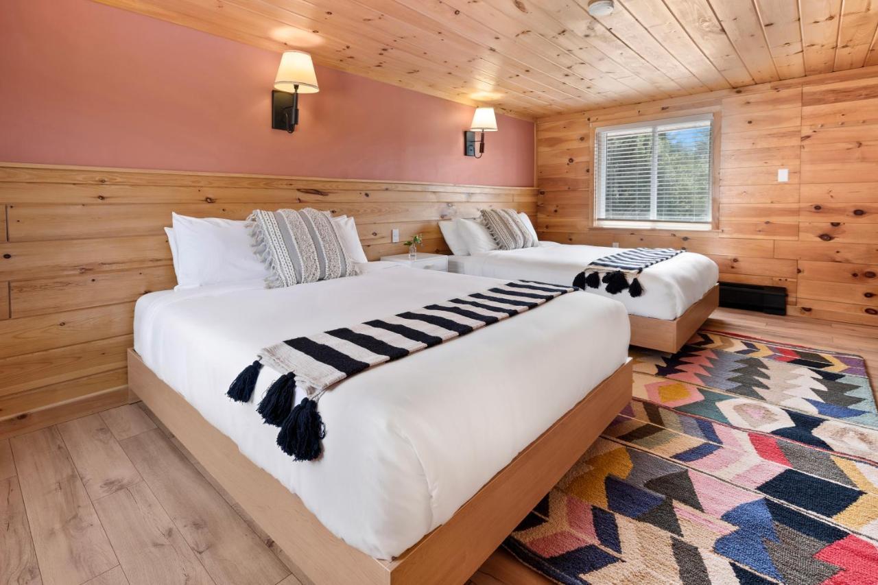 Wolfjaw Lodge Wilmington Kültér fotó